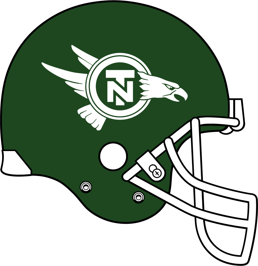 North Texas Mean Green 1992-1993 Helmet iron on transfers for T-shirts